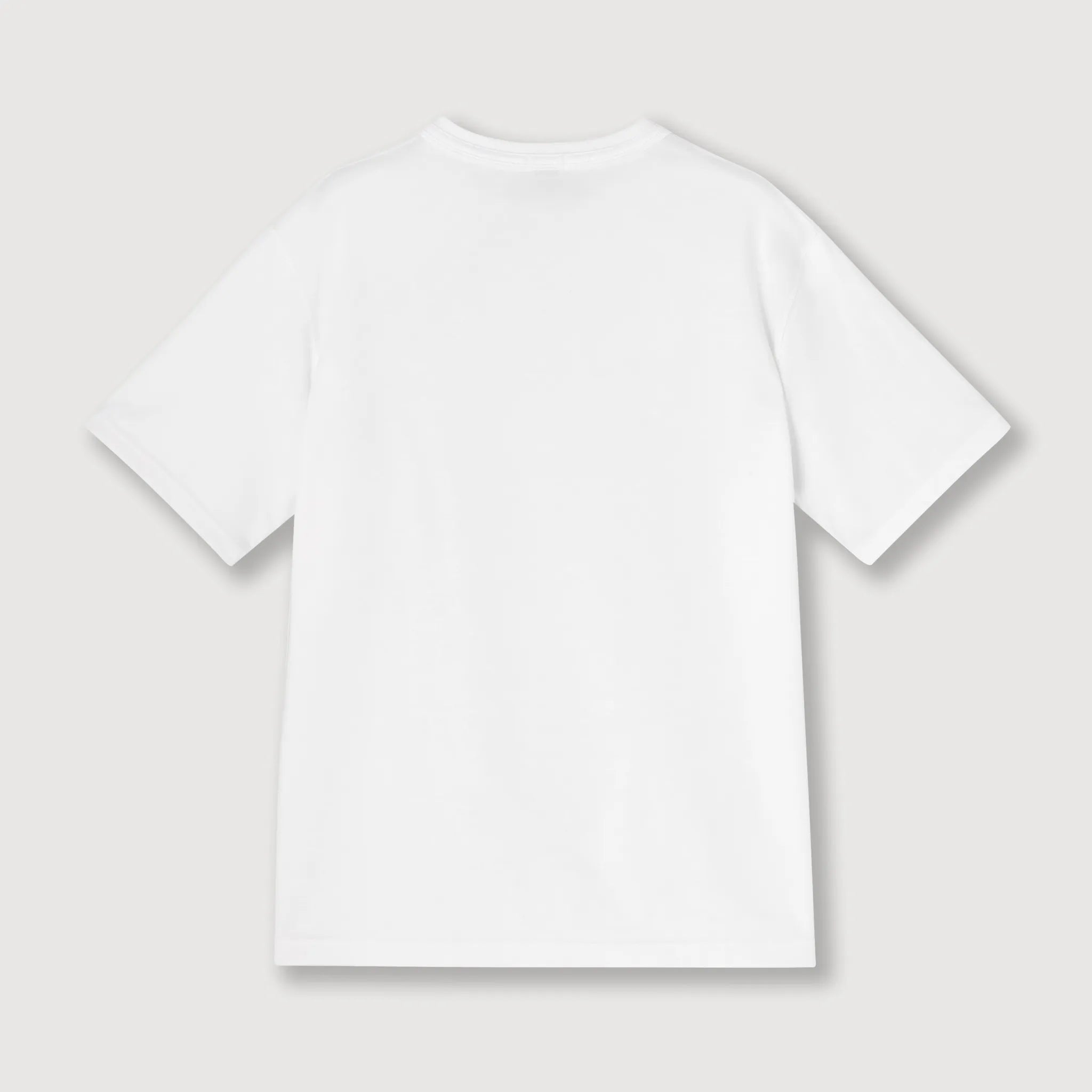永く着られるTシャツ　ホワイト　商品画像　背面